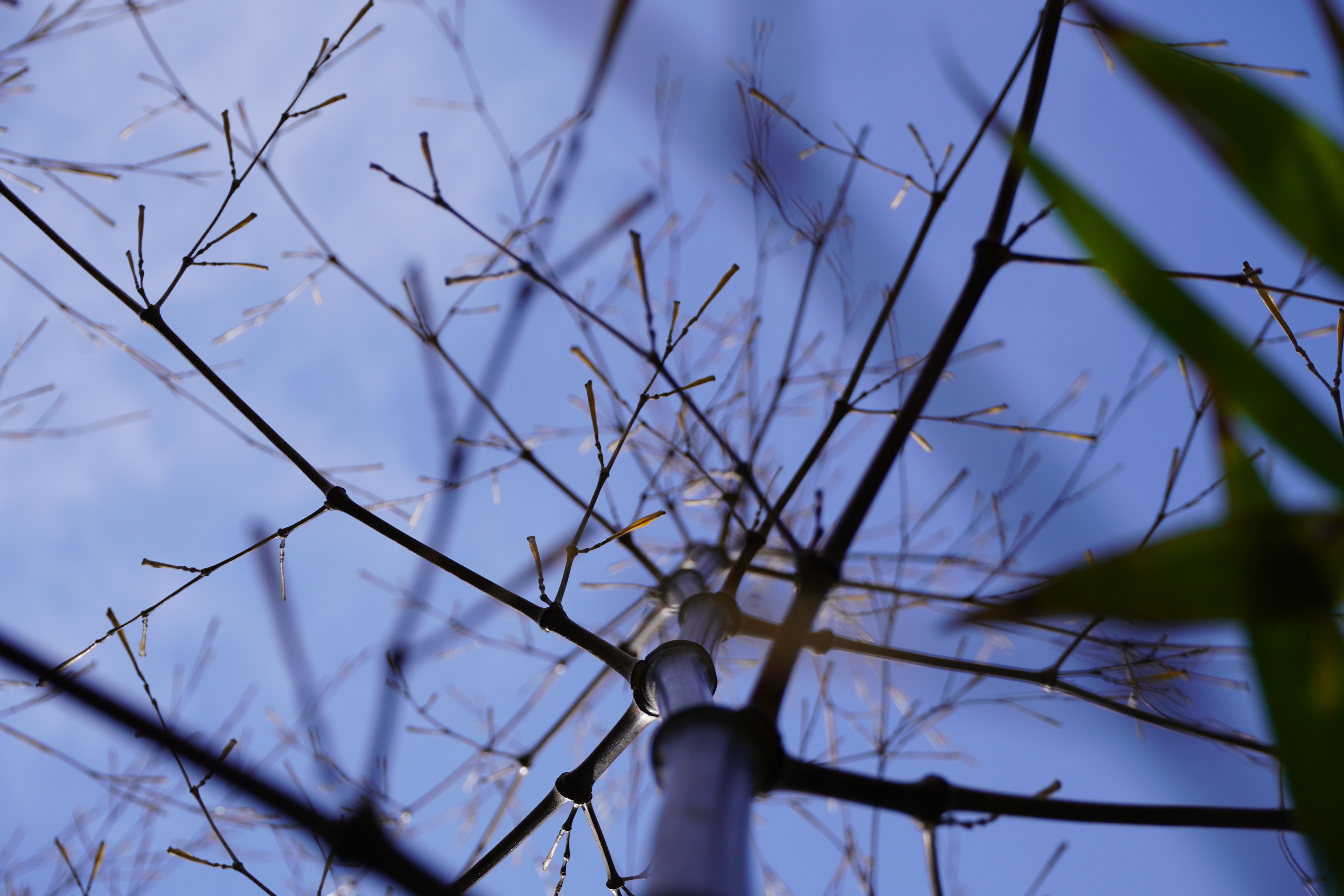 Photography by Lachlan Allison