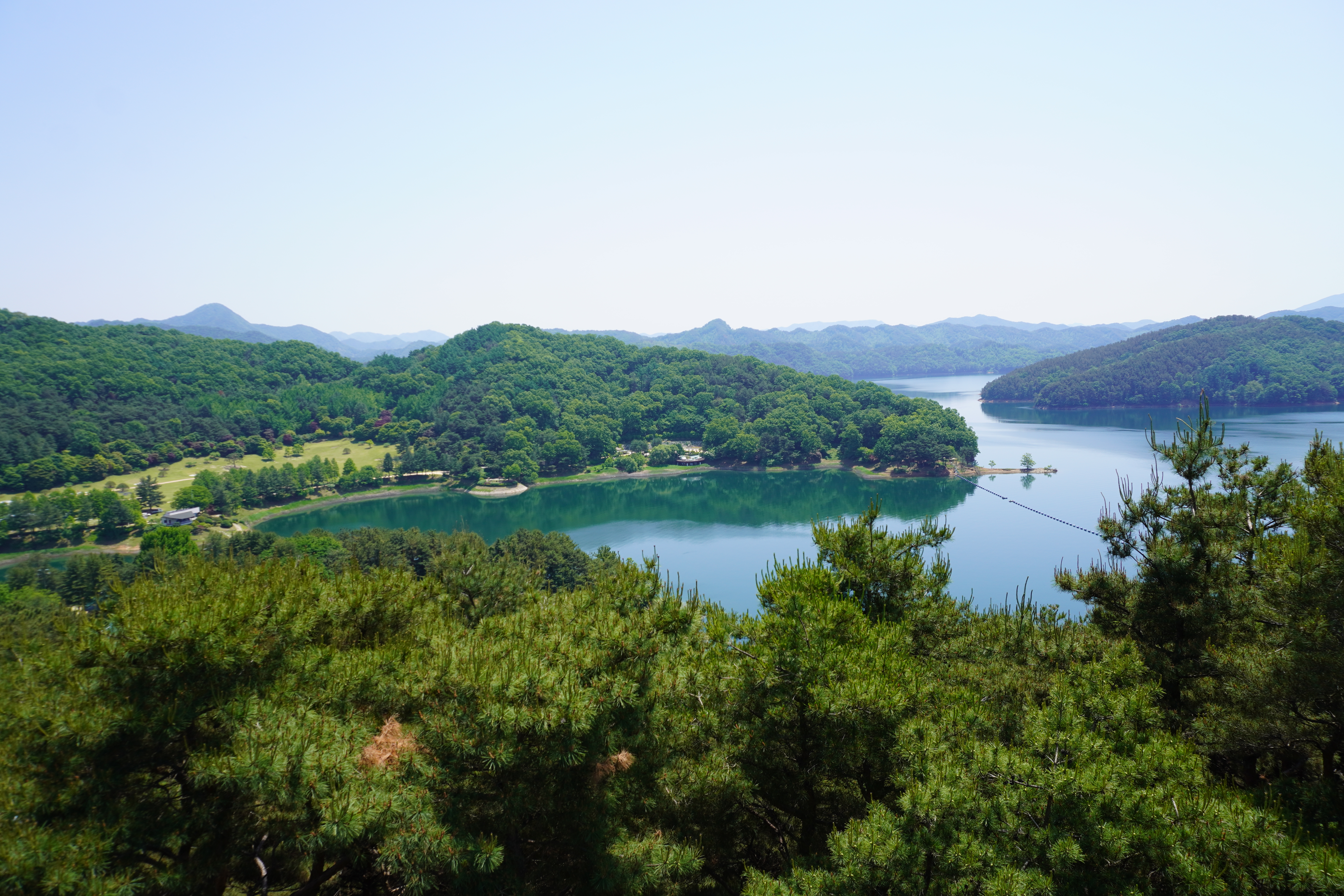 Photography by Lachlan Allison