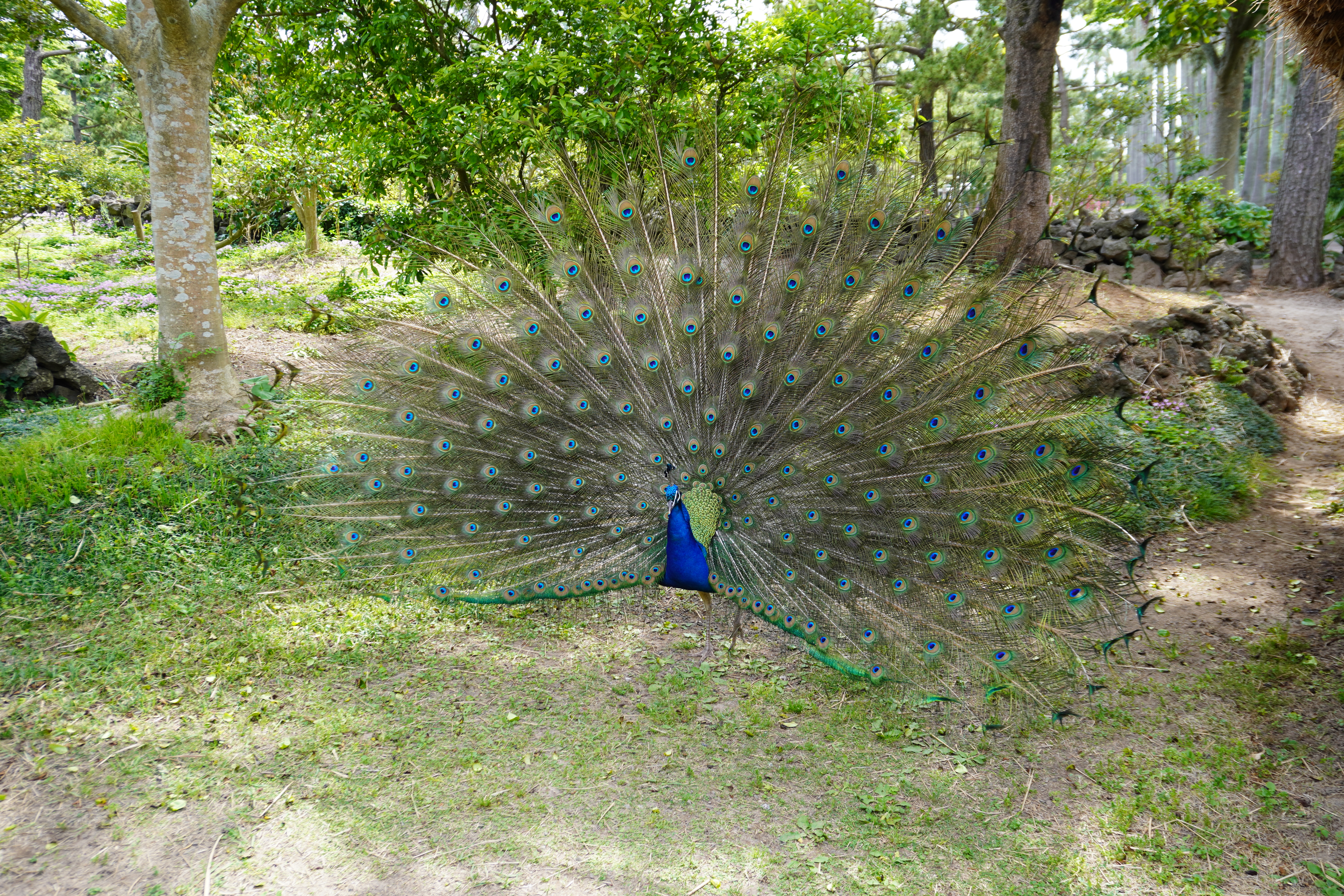 Photography by Lachlan Allison