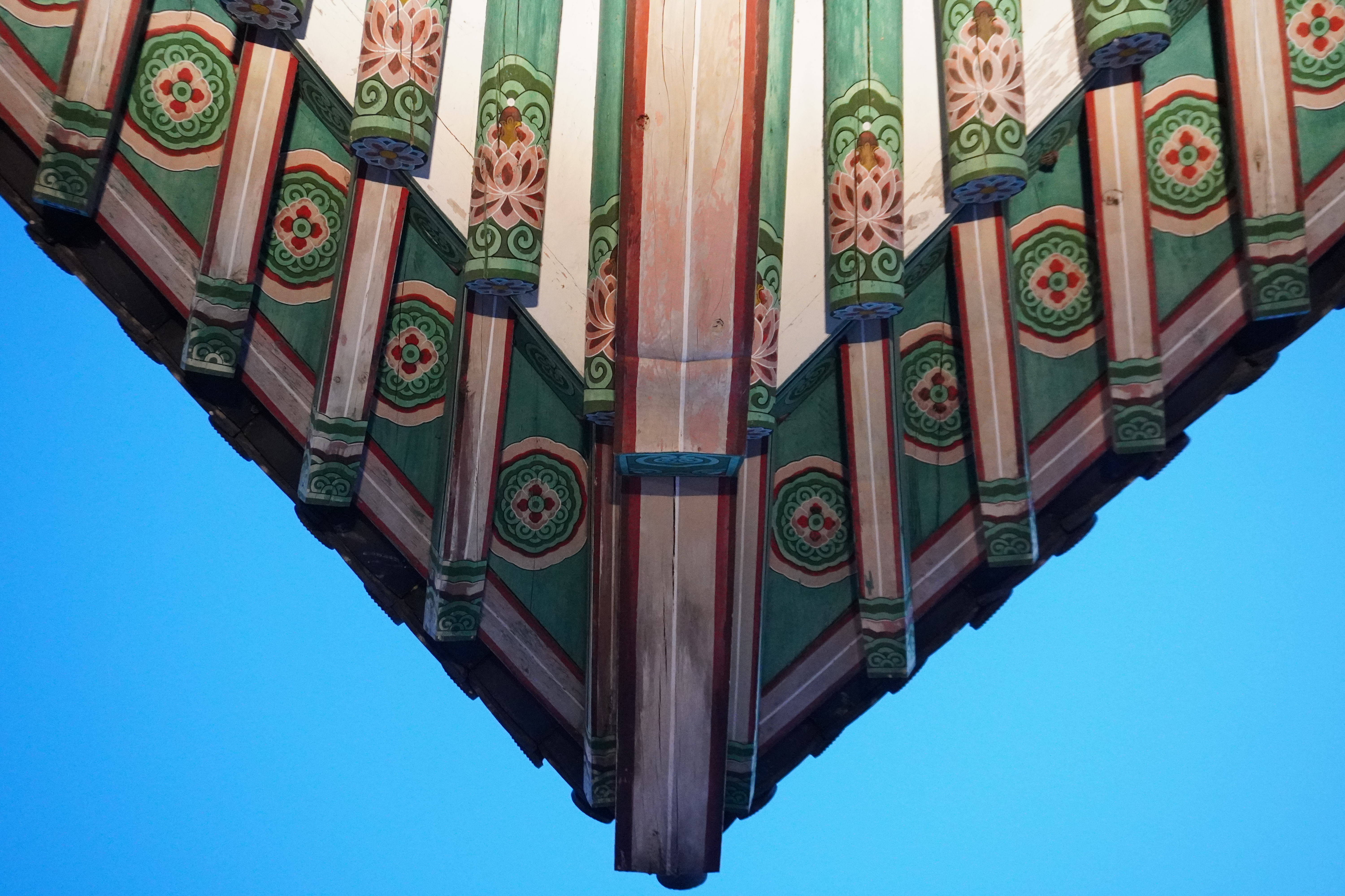 Photography by Lachlan Allison