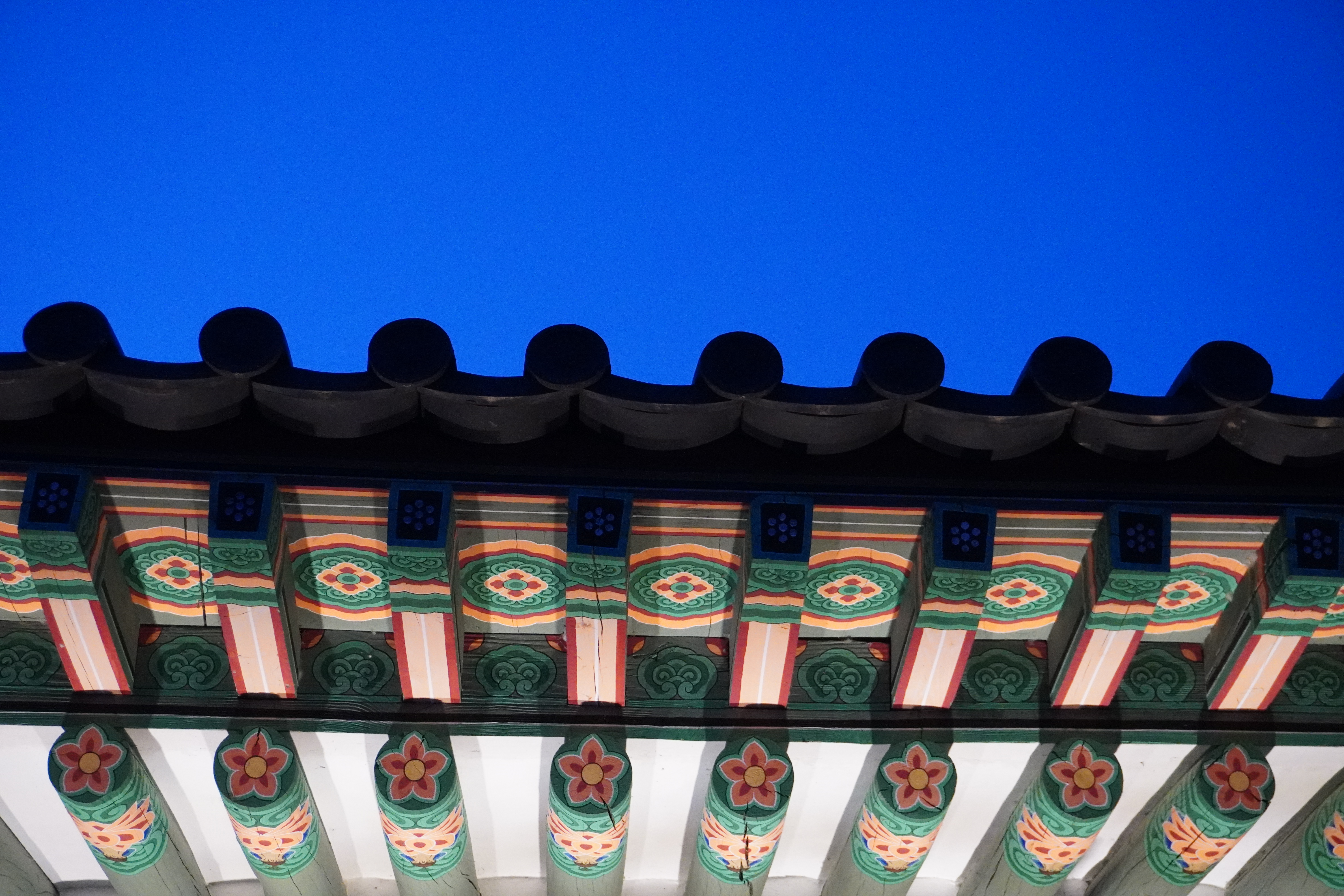 Photography by Lachlan Allison