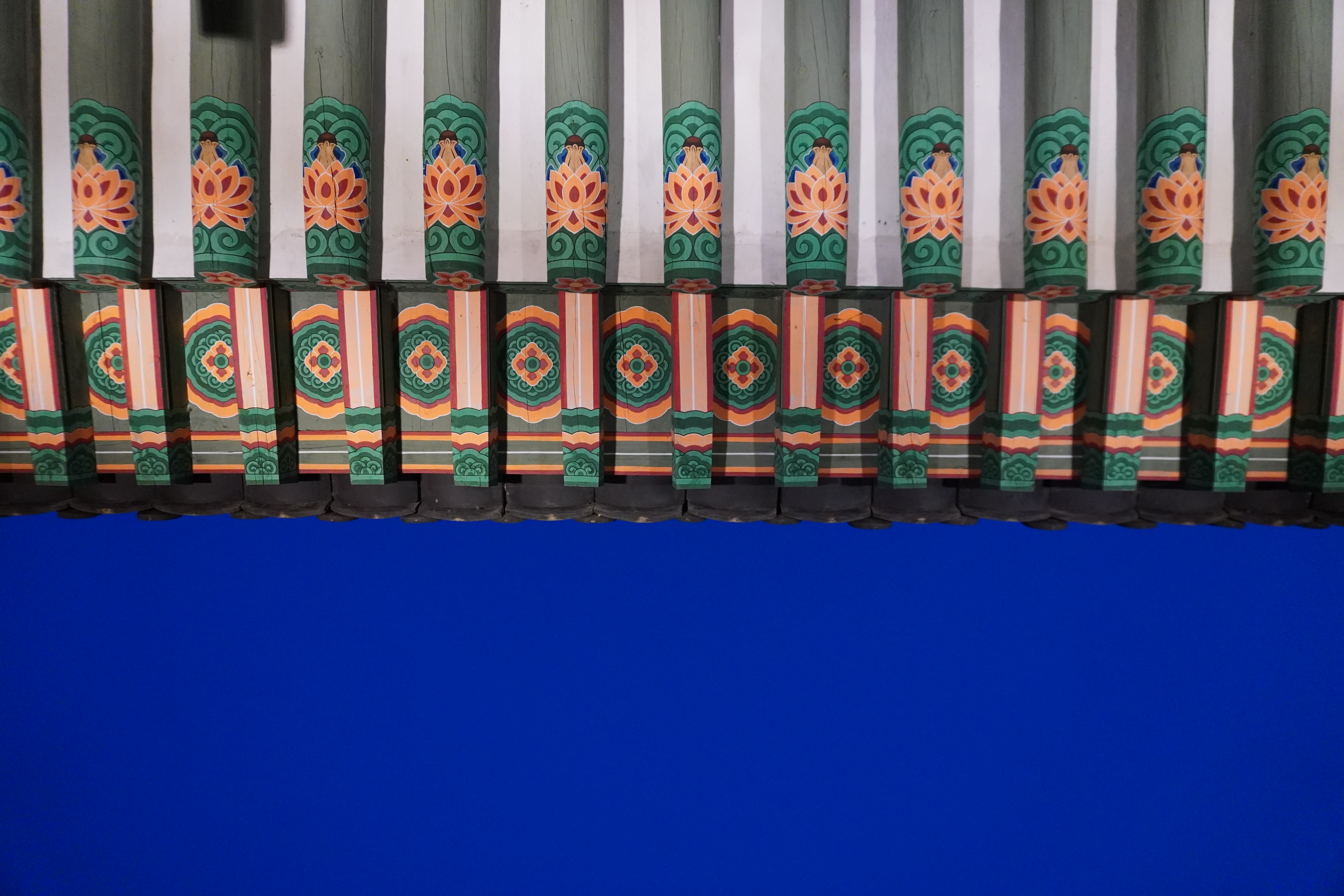 Photography by Lachlan Allison