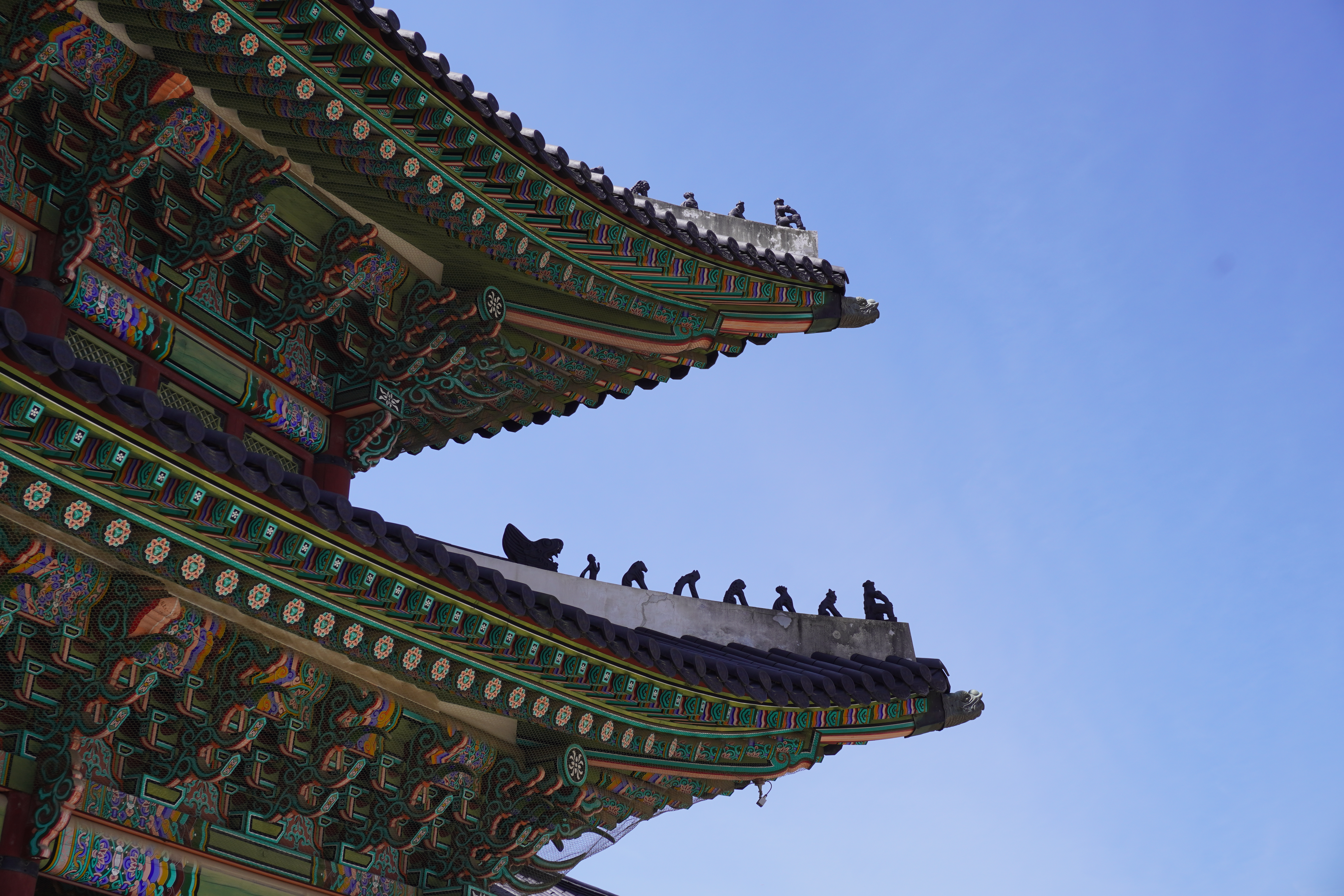 Photography by Lachlan Allison