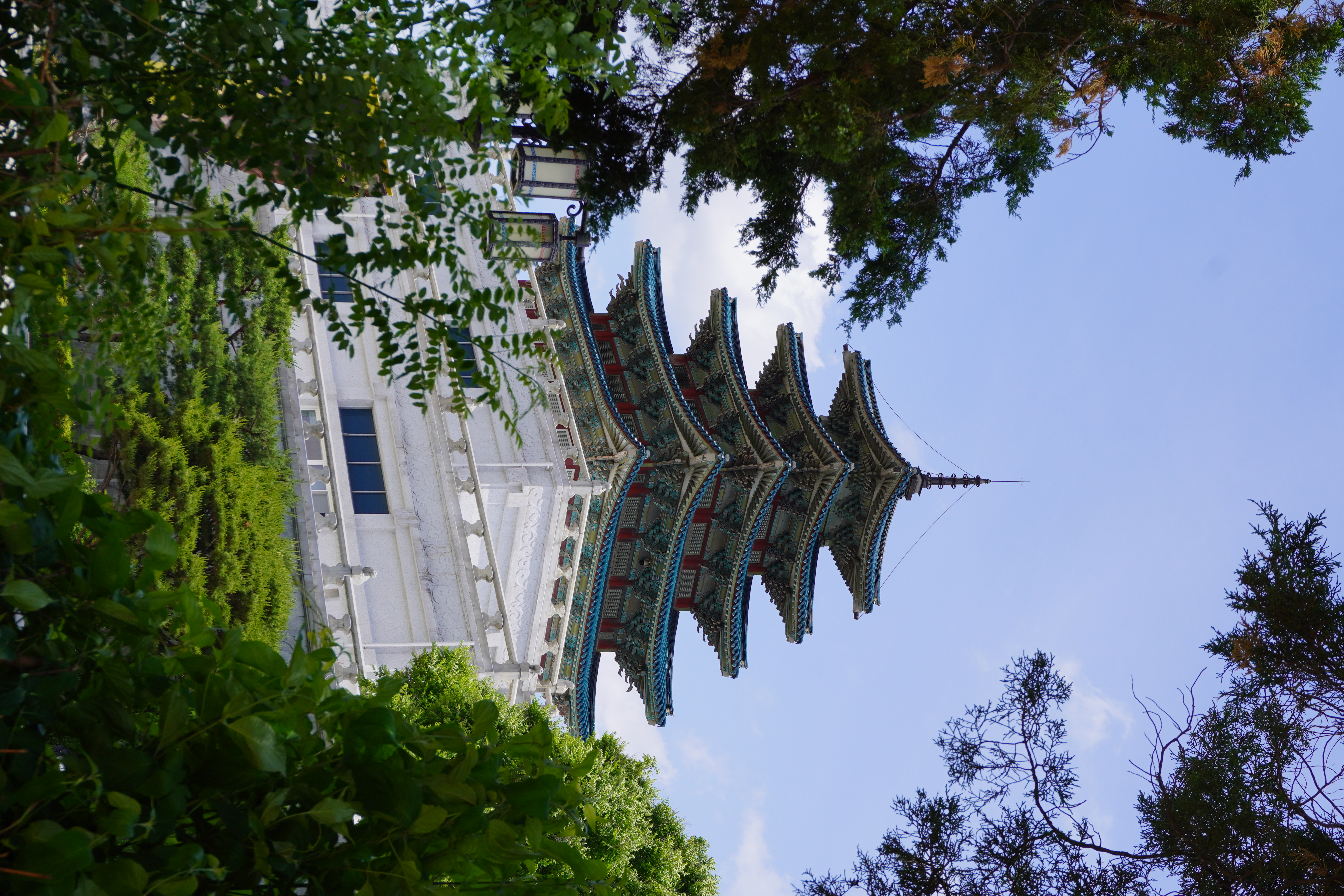 Photography by Lachlan Allison